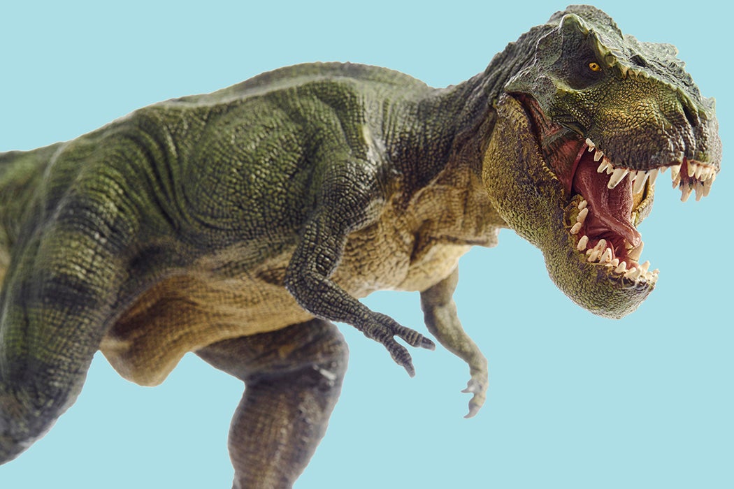 A tyrannosaurus rex on a light blue background