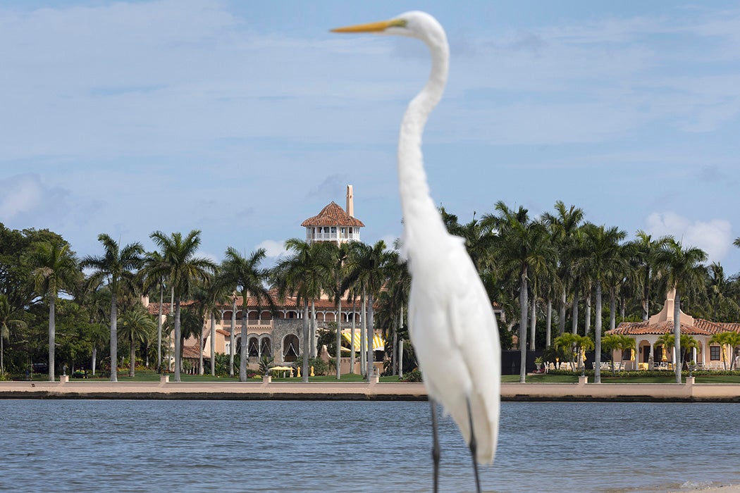 Former President Donald Trump's Mar-a-Lago resort on February 11, 2022 in Palm Beach, Florida