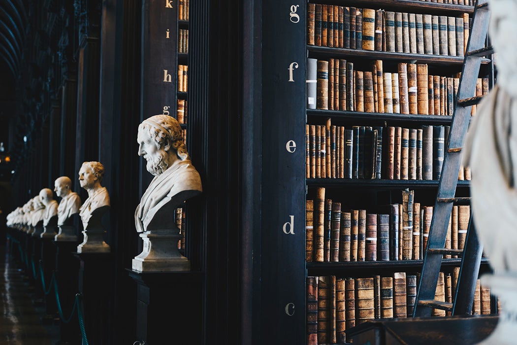 Bookshelves in a library with marble busts