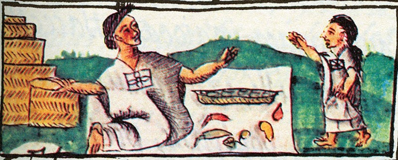 Chilli seller, Florentine Codex