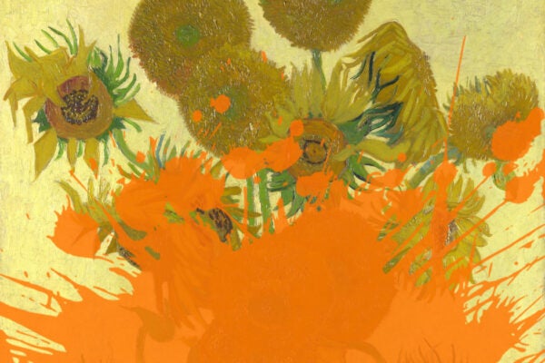 A rendering of Van Gogh's Sunflowers vandalized with an orange liquid