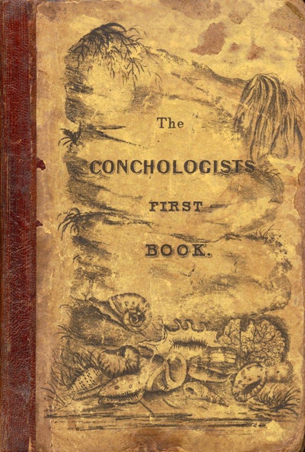 The Conchologist’s First Book, 1839