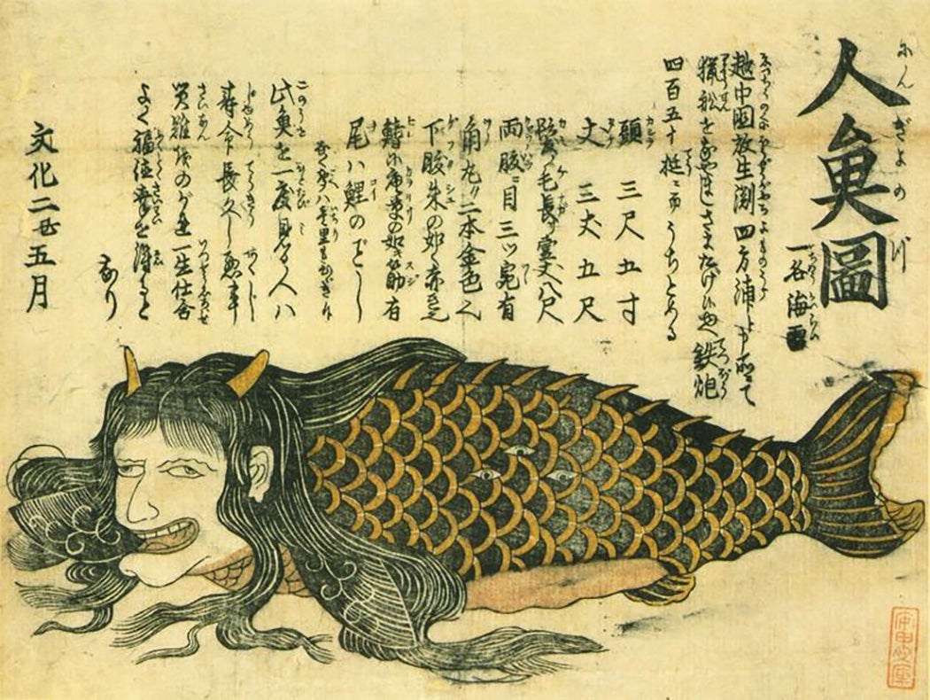 An illustration of a mermaid from Japan, 1805