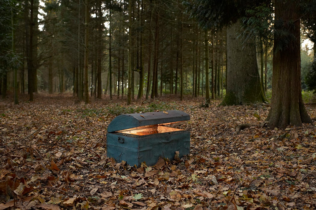 A treasure chest in the woods
