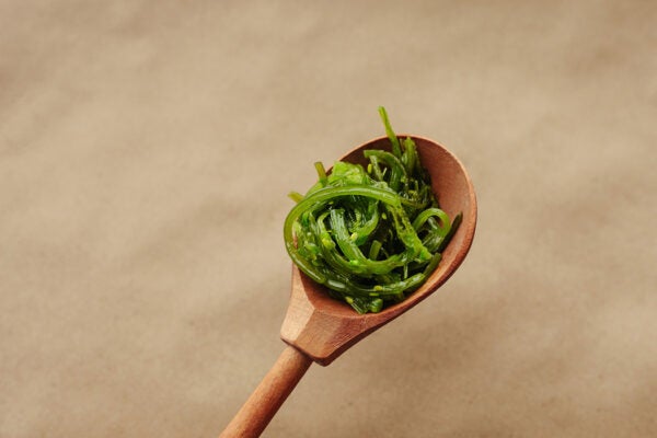 seaweed on a spoon