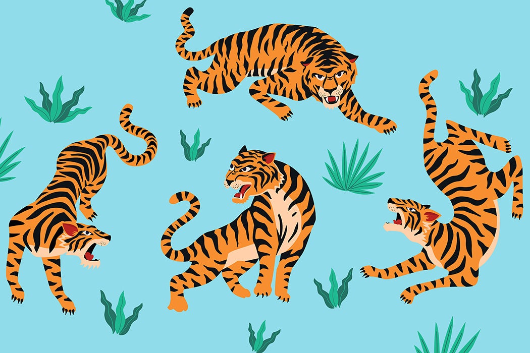 An image of tigers and tropical leaves