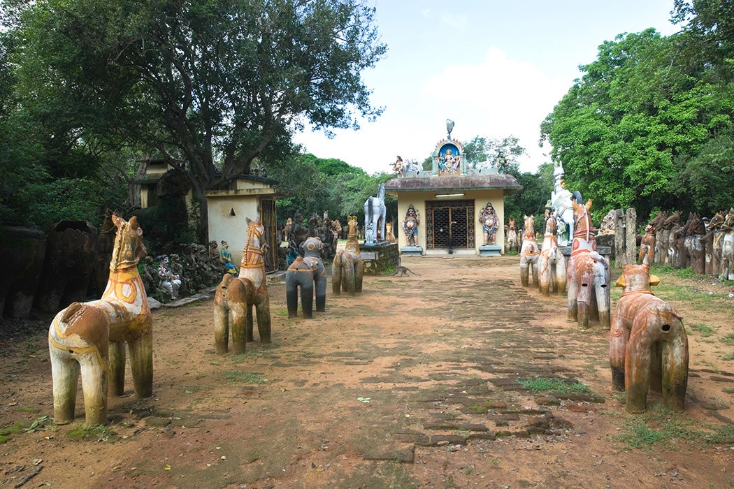 Sacred Grove, Ayyanar temple at Oorappatti near Pudukkottai, Tamil Nadu.