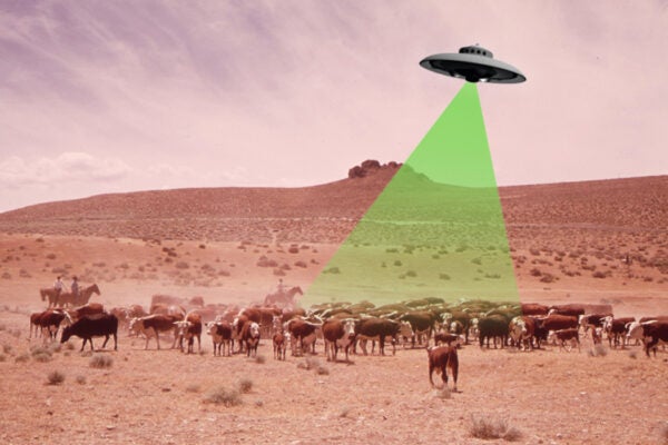 A cattle roundup in Nevada, 1973, with a photoshopped UFO in the sky
