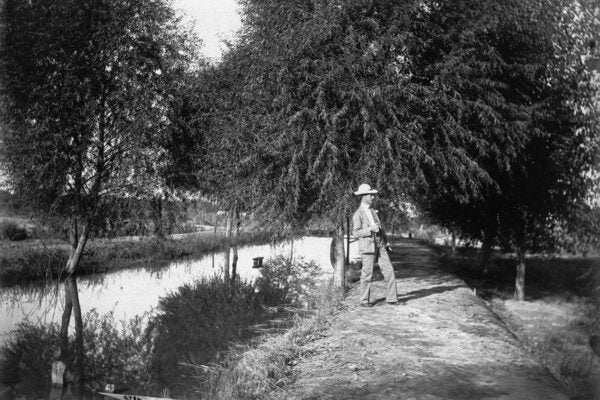 Photograph of a man standing on a path among trees one and one-half years old growing next to an irrigation canal and headgate in Imperial Valley. He is wearing a white hat.