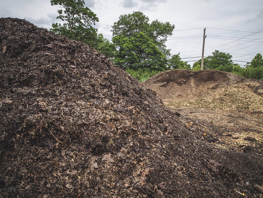 Compost piles