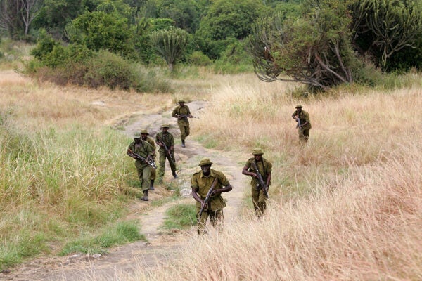 Congolese park rangers conduct a combat patrol July 21, 2006 at Ishango in the Virunga National Park in eastern Democratic Republic of Congo.
