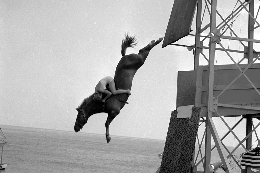 Photograph: A diving horse mid-dive with the rider clinging to its neck, c. 1955