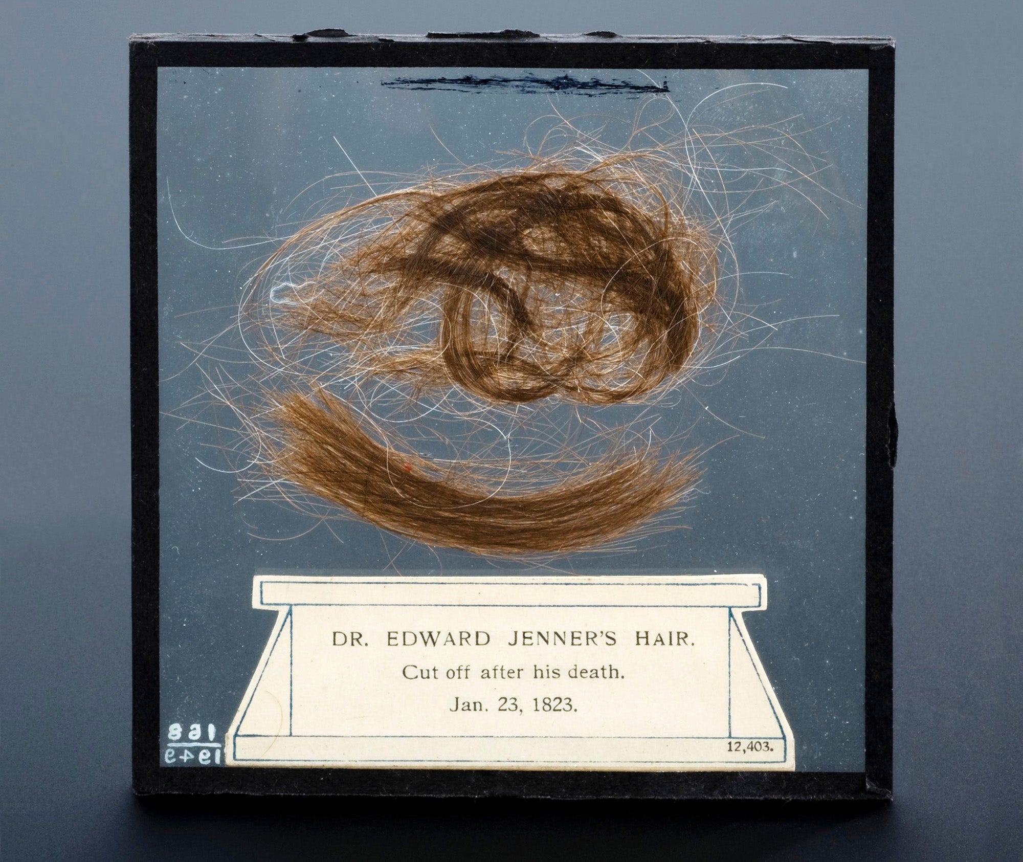 A sample of Edward Jenner's hair