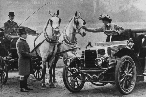 Road travelling horses being accustomised to motor cars, c. 1904