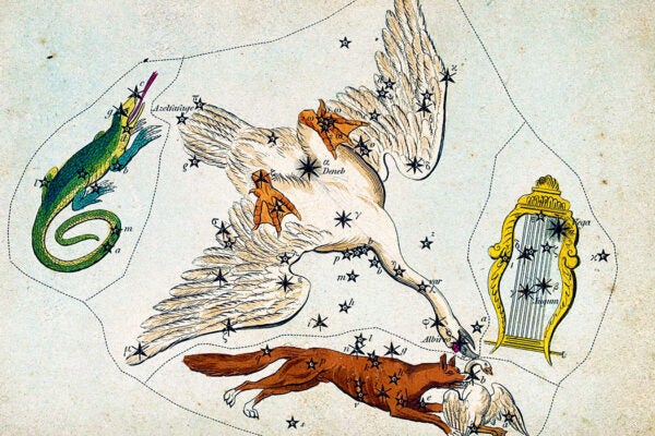 Astrology: various constellations. Coloured engraving by S. Hall.