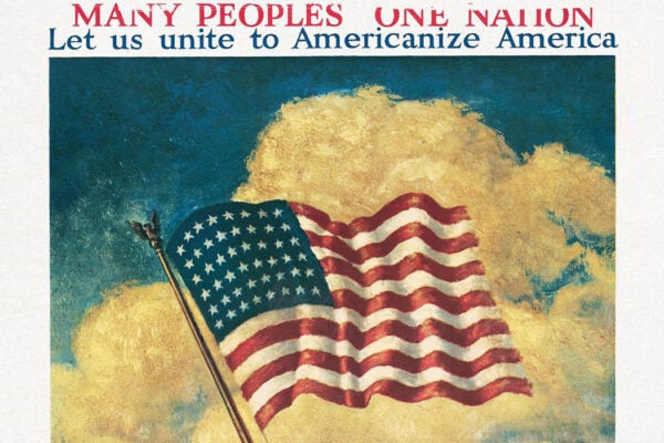 An Americanization Campaign image
