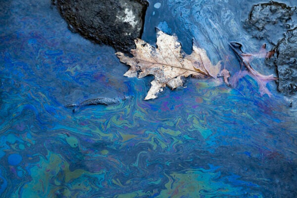 Toxic chemicals float on the surface of Leslie Run creek on February 25, 2023 in East Palestine, Ohio.