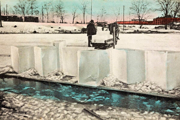 Ice cutters