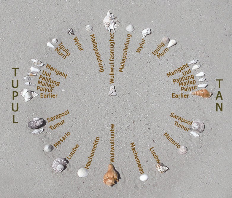 A recreation of the star compass of Mau Piailug depicted with shells on sand, with Satawalese text labels