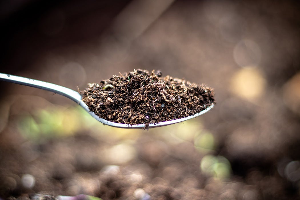 Spoonful of soil