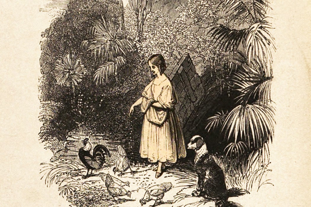 An Illustration from Leila; or, The Island