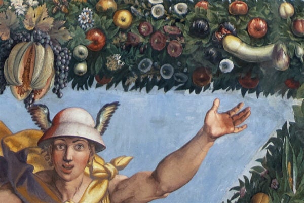 Giovanni da Udine, detail of border surrounding Raphael’s Cupid and Psyche, Villa Farnesina, Rome.