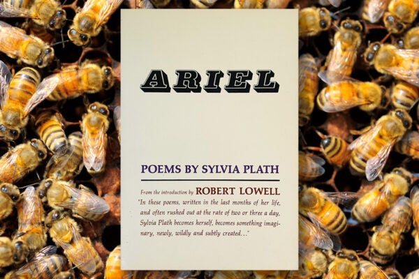 Sylvia Plath's Ariel against a background of bees