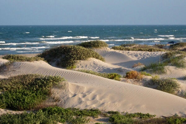 Sand dunes and ocean at Padre Island's North Beach, Texas