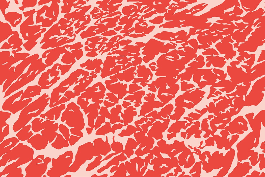 An illustration of meat marbling