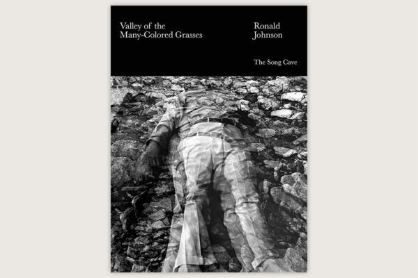 The cover of the Song Cave edition of Valley of the Many-Colored Grasses by Ronald Johnson