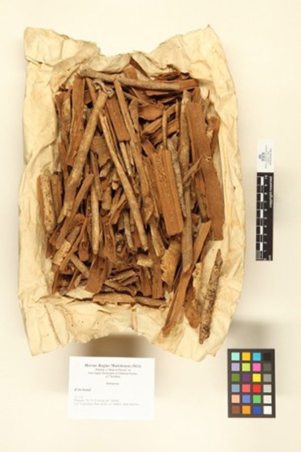 Cinchona bark specimens collected in Peru between 1777-1816