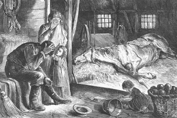 An illustration of a sick horse in a barn, 1872