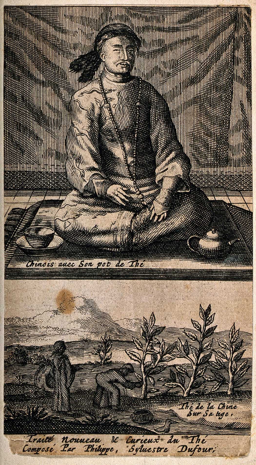 A c. 1693 etching by Philippe Sylvestre Dufour of a Chinese man with his tea pot, and workers harvesting tea