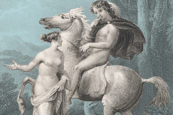 An illustration of Shakespeare's poem Venus and Adonis