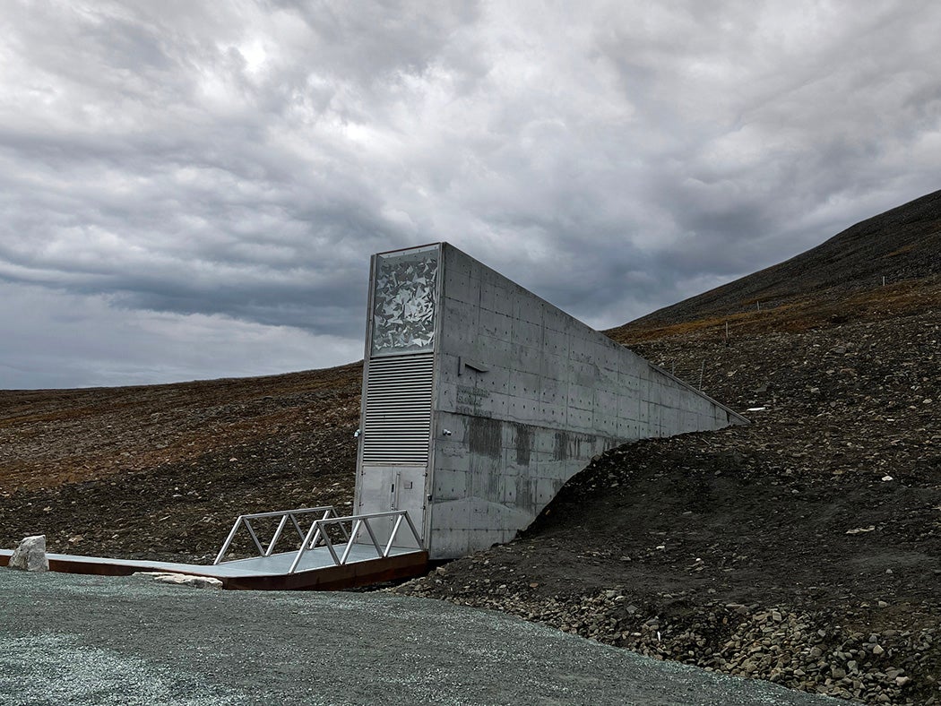 Entry way to the Global seed vault in Svalbard.