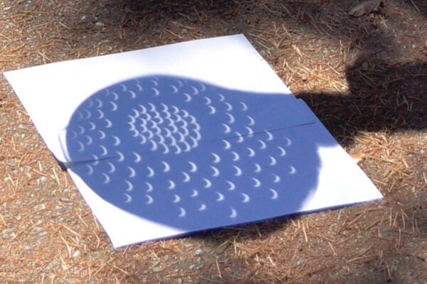 Viewing the projection of a solar eclipse using a colander