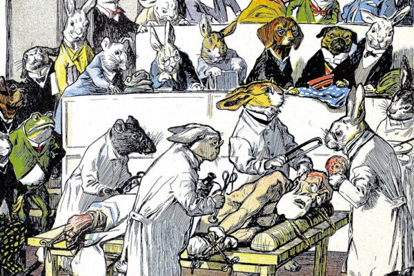 The Vivisection of Humans, 1899