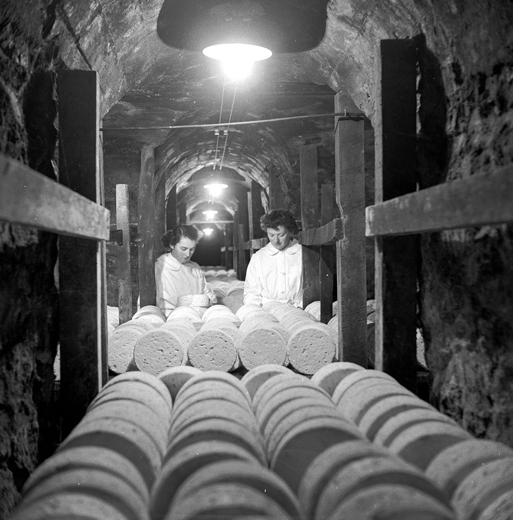 Two women inspect rows of ripening Roquefort cheeses in a cave under the French town of Roquefort, ca. 1950