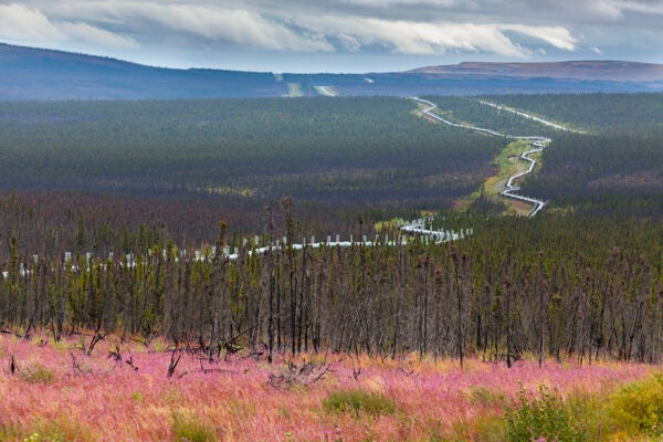 James Dalton Highway, Alaska.