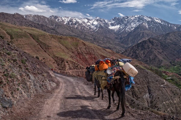 Atlas Mountains
