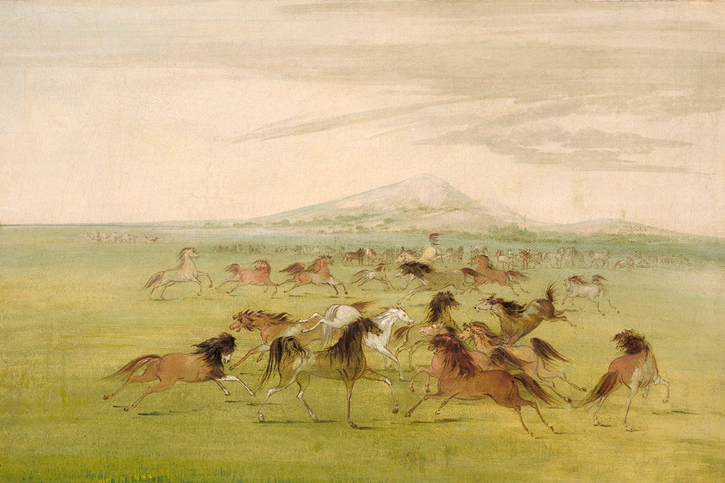 Wild Horses at Play by George Catlin, between 1834 and 1837