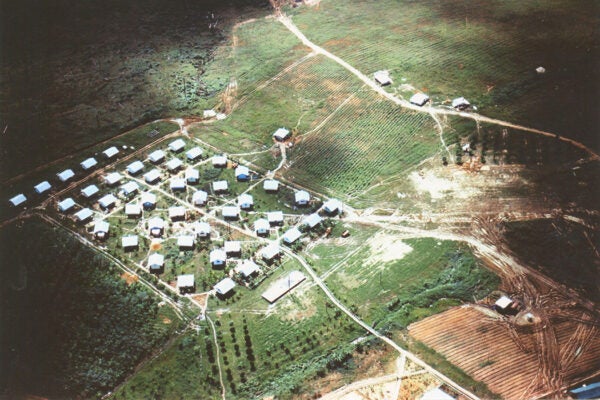 Photo taken by FBI agents in Jonestown following the Jonestown massacre of November 18, 1978.