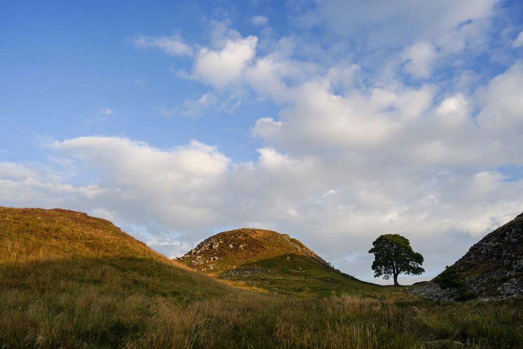 Sycamore Gap on Hadrian’s Wall, 2022