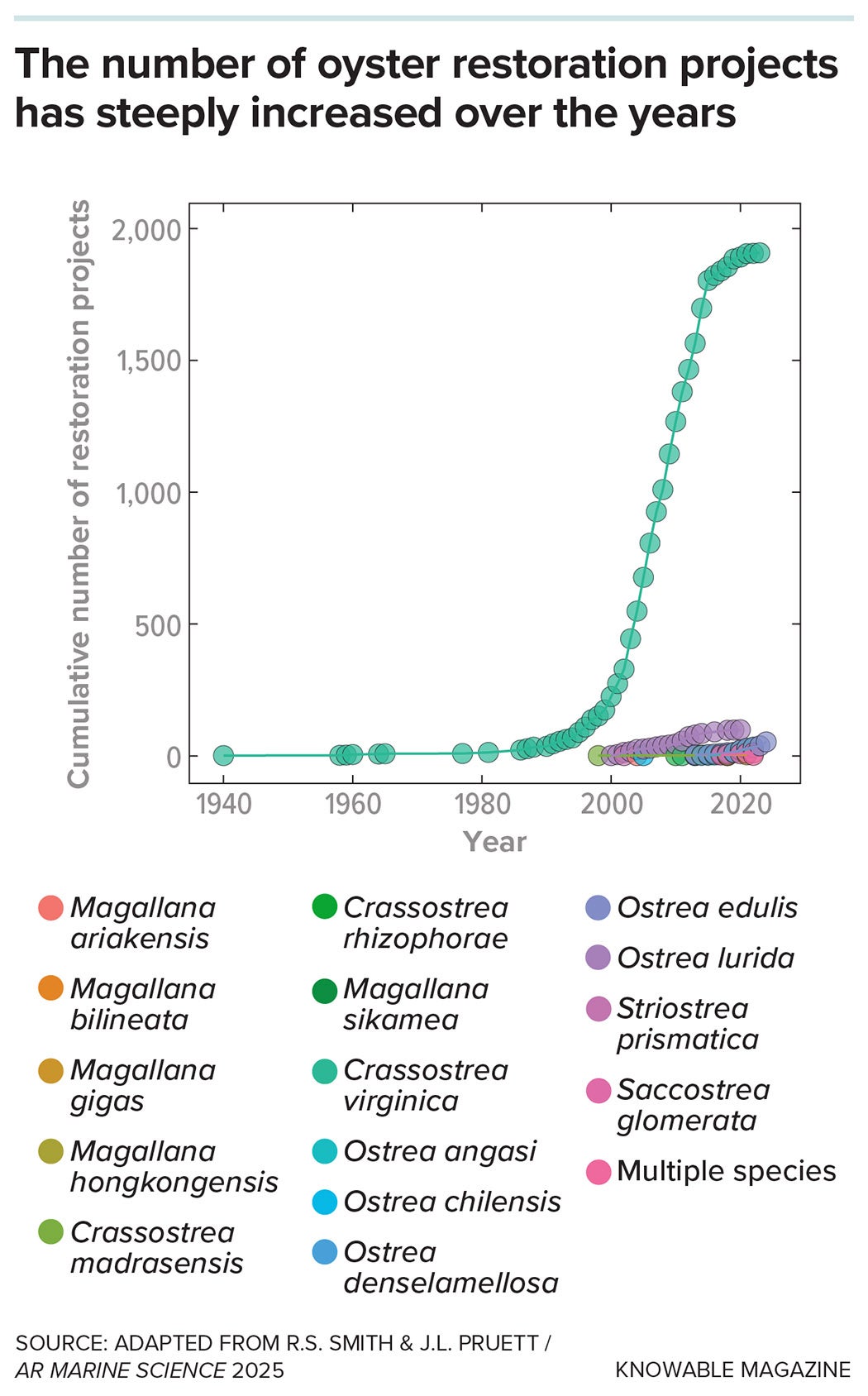 Restoration projects focusing on the Eastern oyster (Crassostrea virginica) are still the large majority, but other oyster species are receiving increasing attention, too.