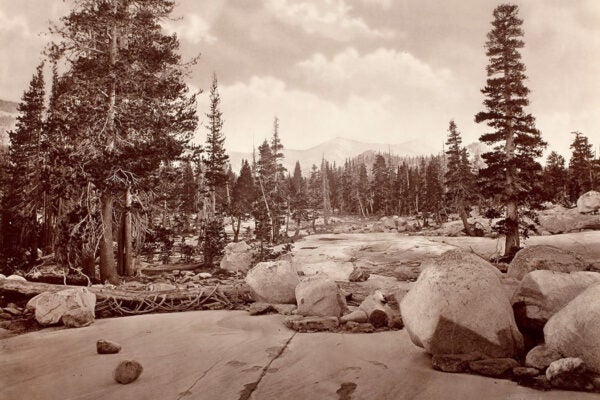 An ancient glacier channel at Lake Tenaya in Yosemite National Park, 1872