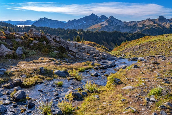 A view of the landscape seen along the Golden Gate Trail in the Paradise area of Mount Rainier National Park, Washington.