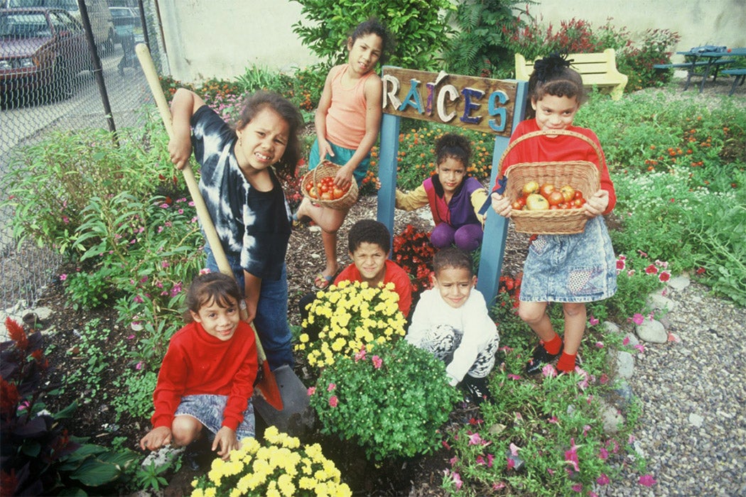 Raíces Garden. N 2nd St