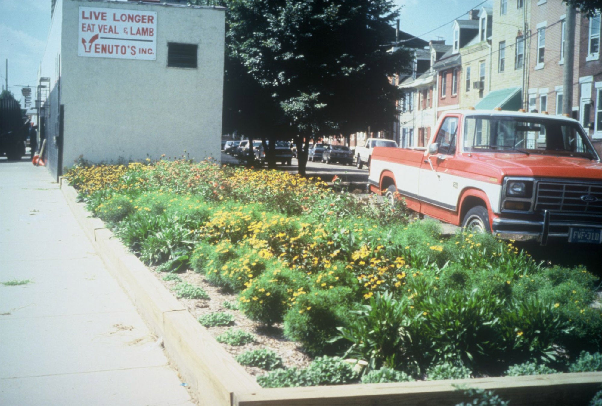 A lot planted by Philadelphia Green in Queen Village
