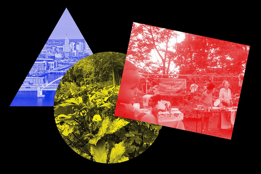 A series of color images showing the Sharing Garden in Providence, the Providence skyline, and a plants in a garden