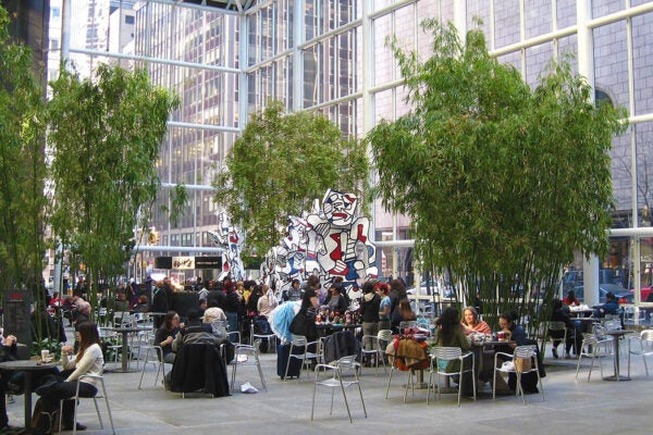 The public sitting area of IBM Building on 56th and Madison in Manhattan, 2009